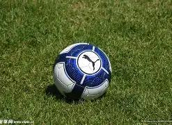 篮球赛事摄,影集,DB真人 (Sports),DB真人视讯,DB真人,(Sports),DB视讯官网,DB真人官方平台