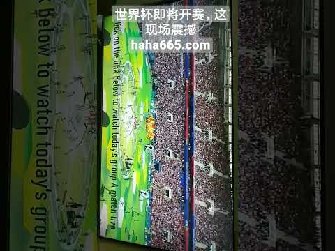 Sports,真人,资讯,DB真人视讯,DB真人,(Sports),DB视讯官网,DB真人官方平台