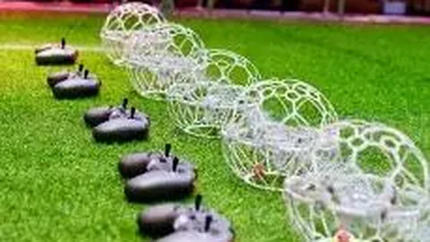 全民健身日与世运会同庆，共享体育美好人生