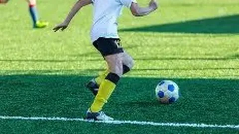 女明星演艺生涯揭秘：星光璀璨背后的奋斗与影响